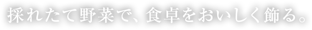 採れたて野菜で、食卓をおいしく飾る。